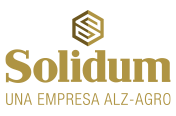 Solidum logo